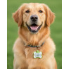 Hundemarke mit Lasergravur Knochen aus fluoreszierendem Silikon - Individuell gravierbar
